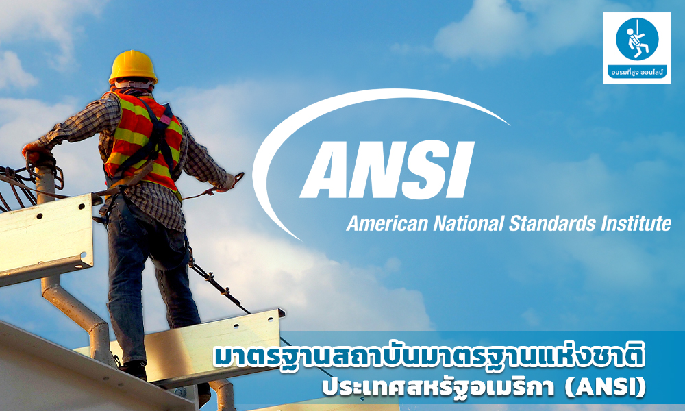 4. มาตรฐานสถาบันมาตรฐานแห่งชาติประเทศสหรัฐอเมริกา (ANSI)